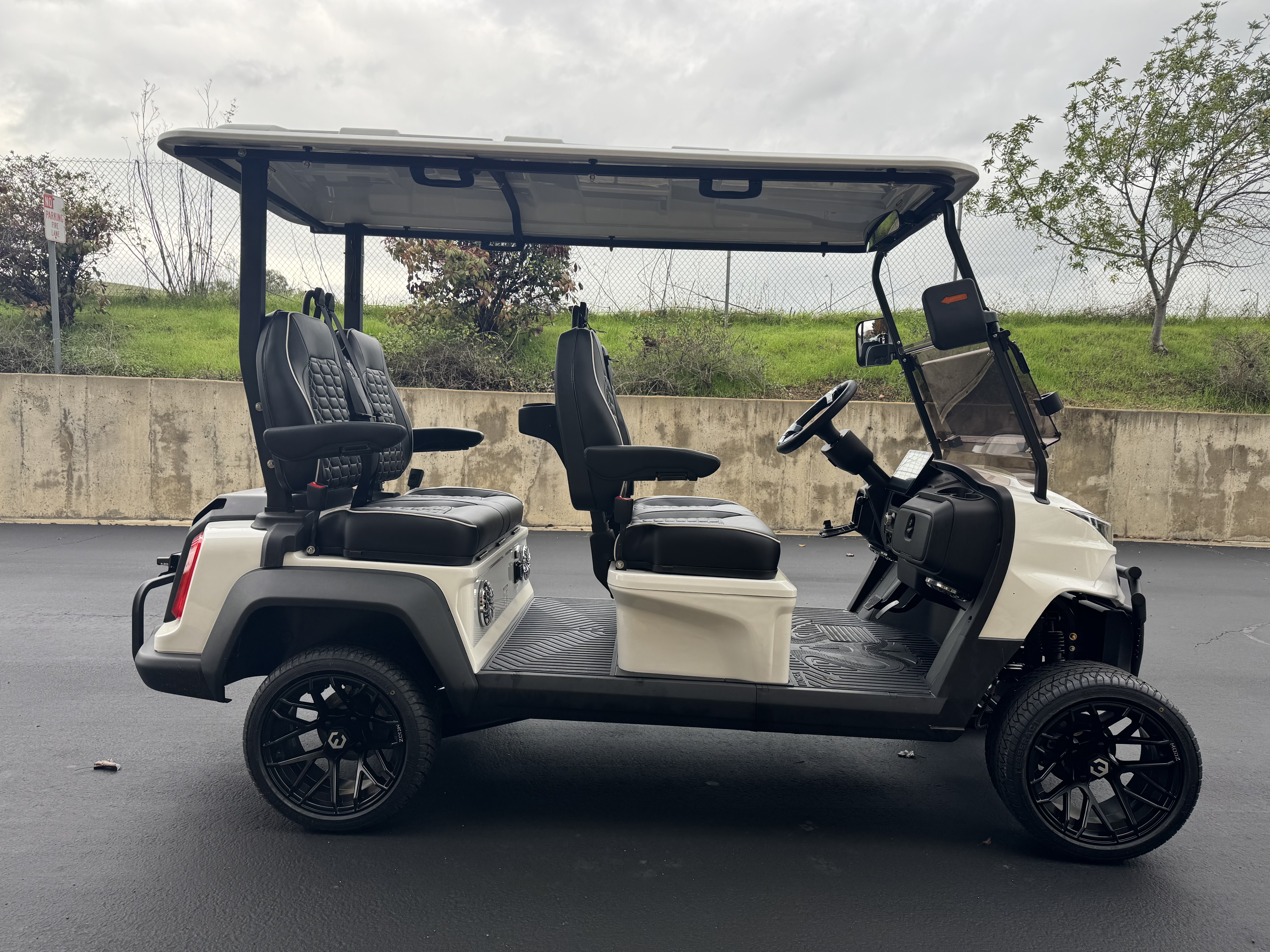 2026 Venom Stealth 4 Pass - Nick's Golf Carts